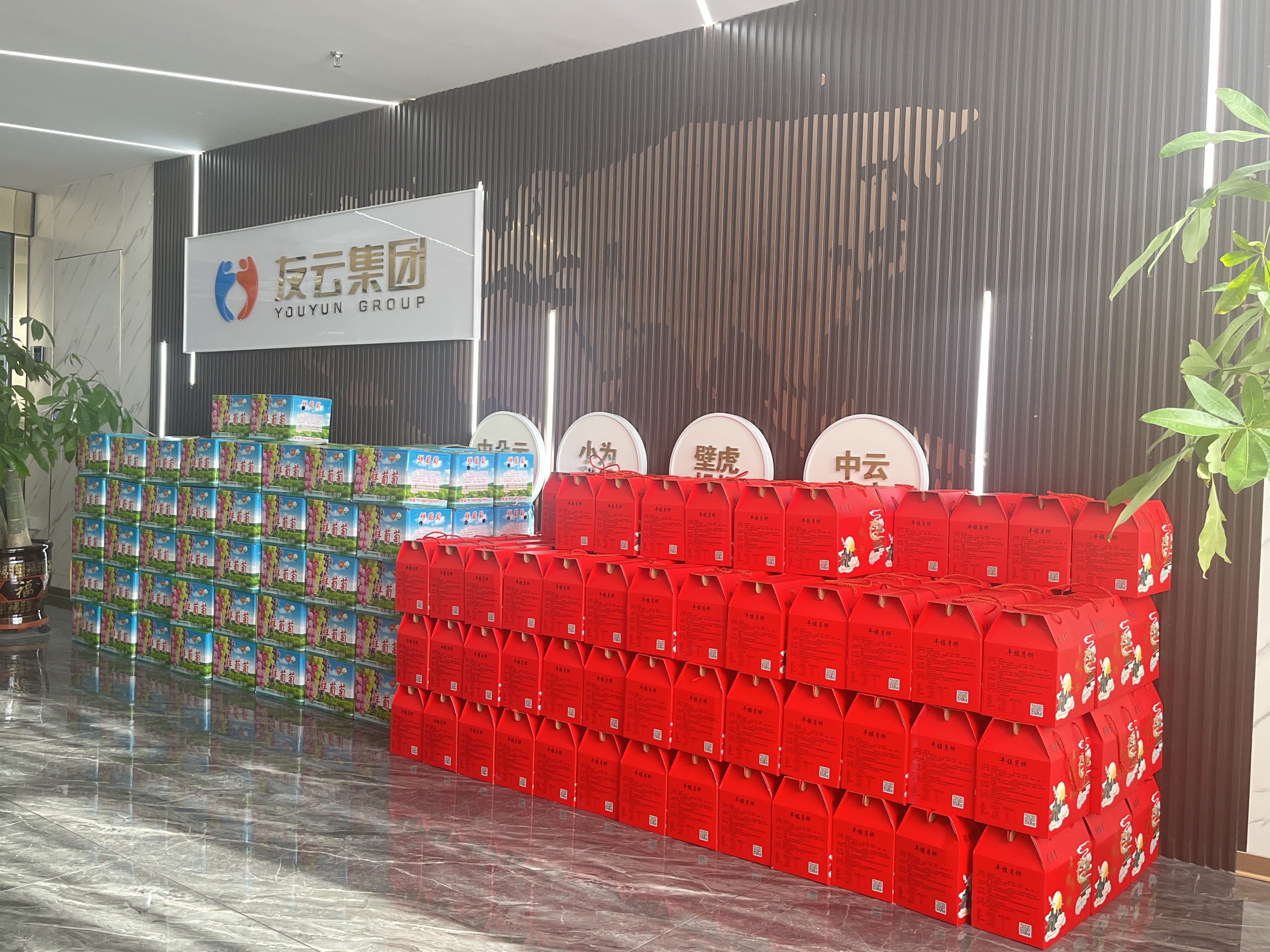 中朵云建設(shè) 中朵云建設(shè)